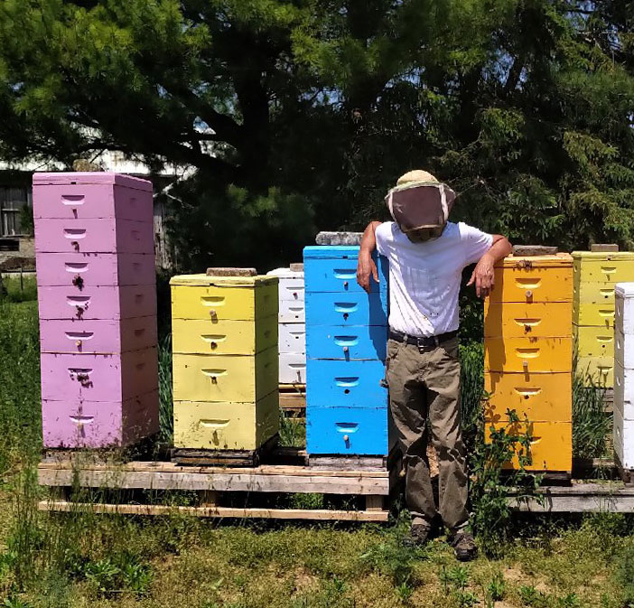 Photo of Cool Creek honey hives